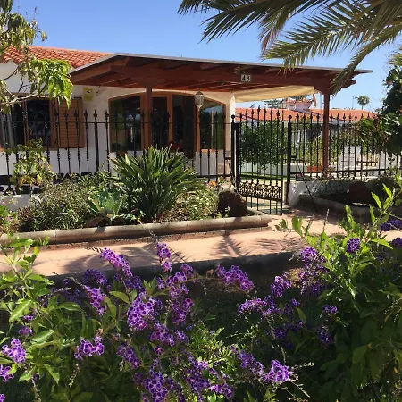 Apartment Porches Rosario Playa del Ingles (Gran Canaria)